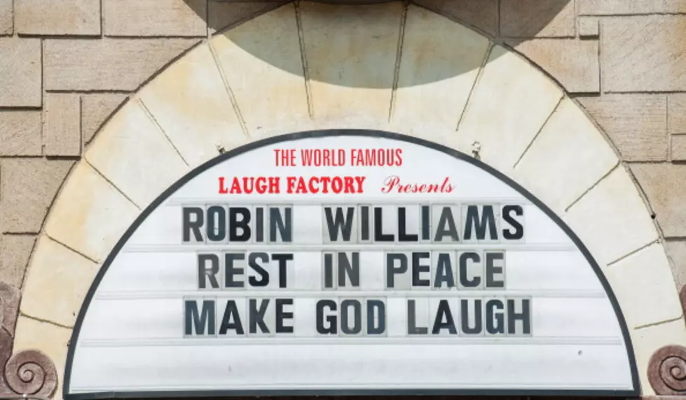 Understanding Robin Williams&#8217; death