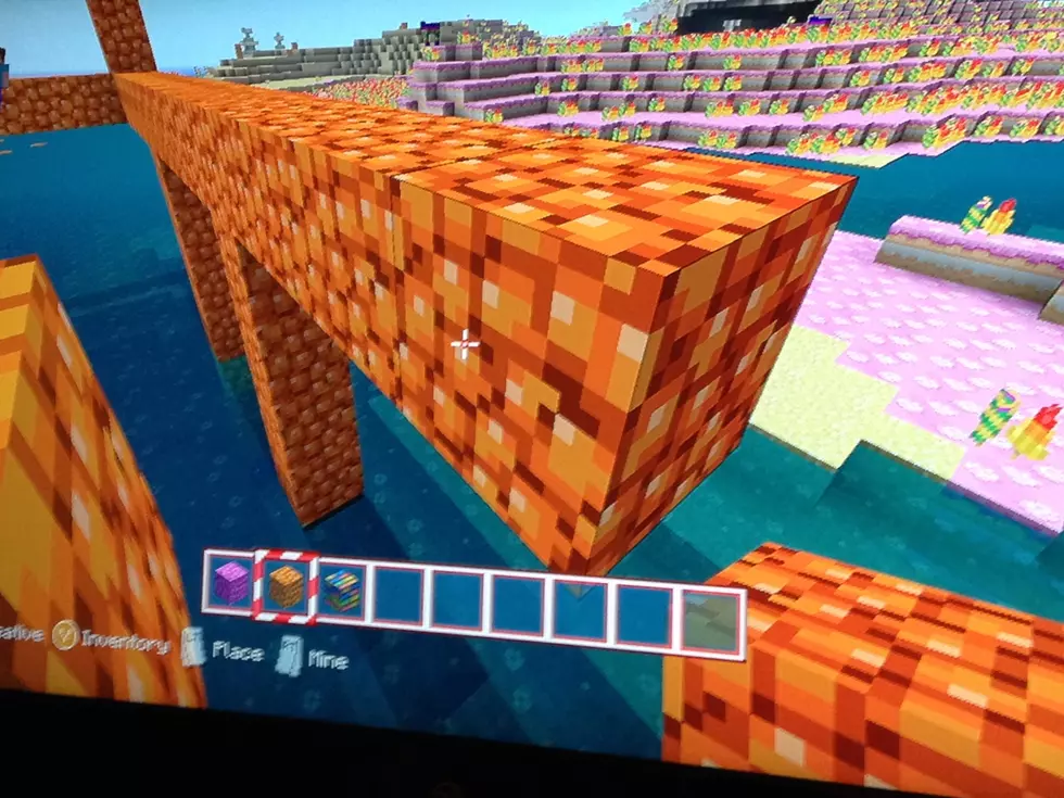 What&#8217;s the Fascination With Minecraft