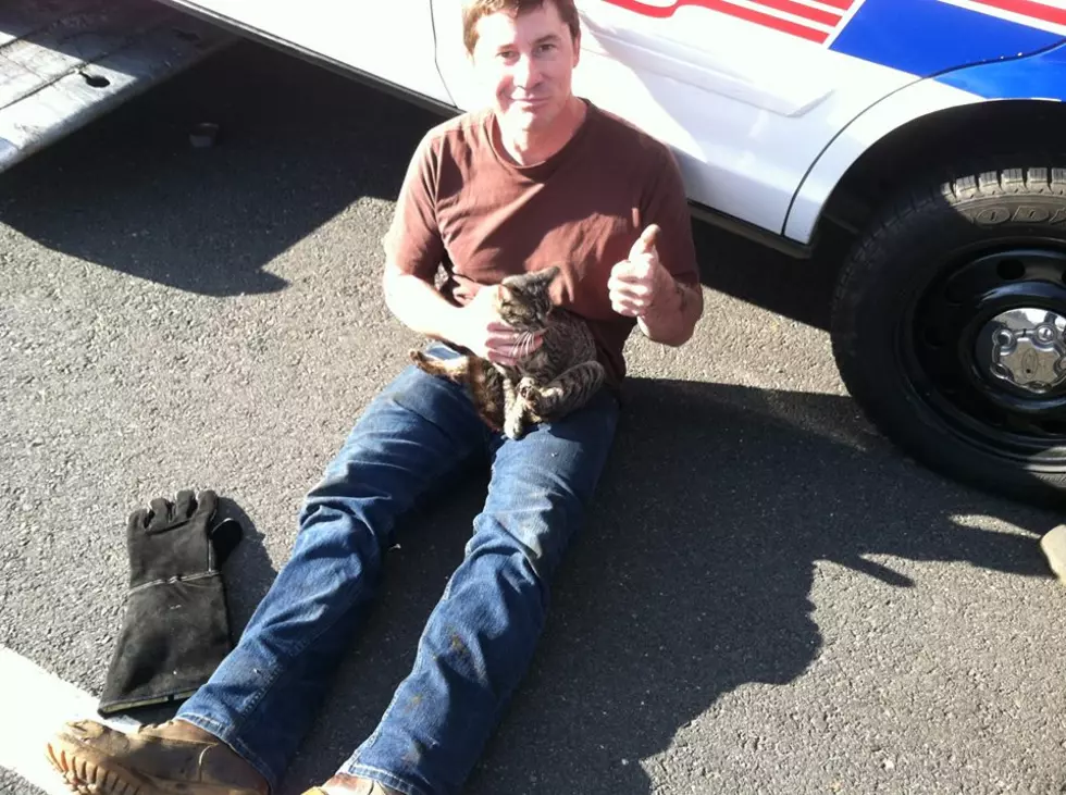 Scaredy cat rescued on Route 36 in Middletown