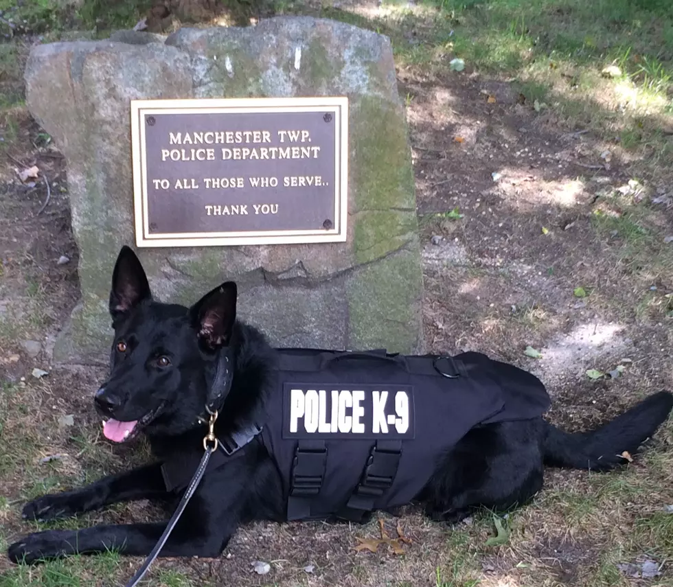 “Storm” suits up with Manchester Township Police