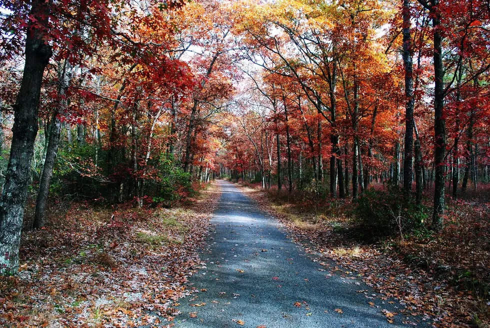 Fall Colors at the Jersey Shore [PHOTOS]