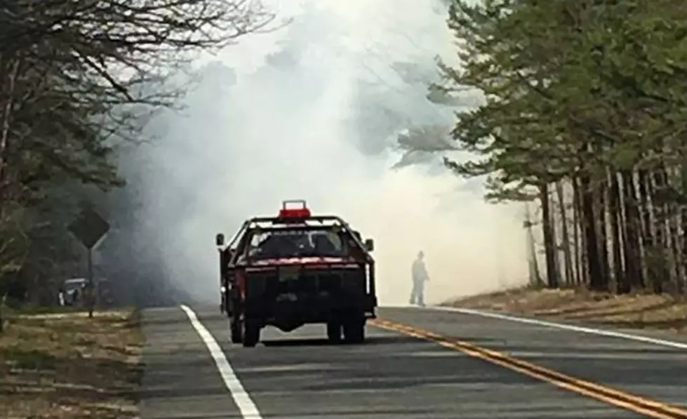 Fire in Jackson woods under investigation