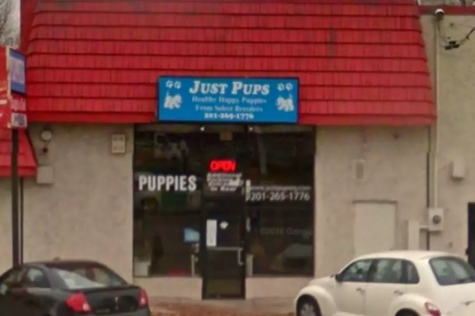Just Pups store owner agrees to stop selling animals in New Jersey in settlement