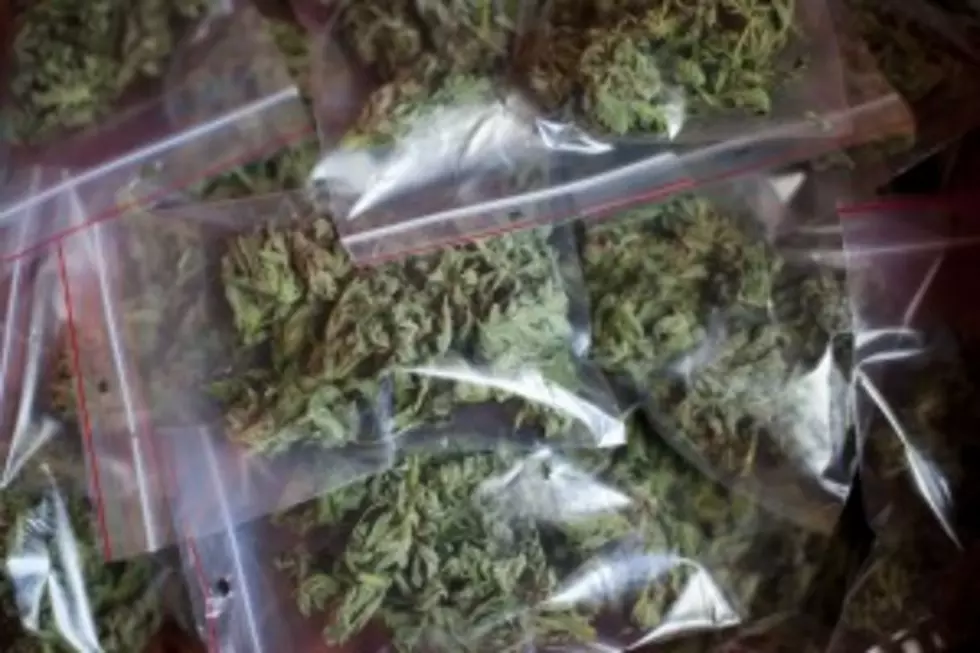 Seat belt stop in Monmouth yields weed and weapon, police say