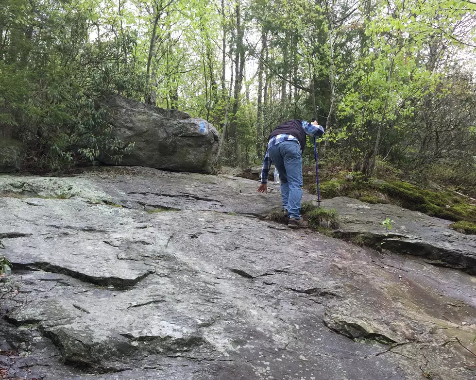 Hiking New Jersey: Buttermilk Falls [VIDEO]