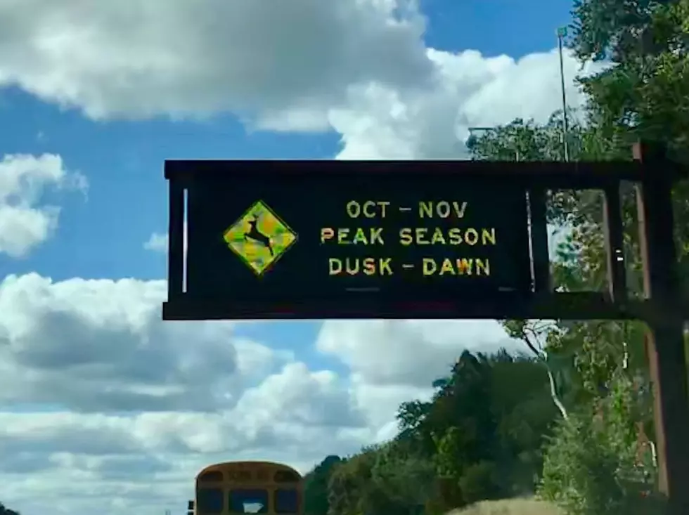 Peak Deer Season At The Shore Is A Reminder To Stay Alert
