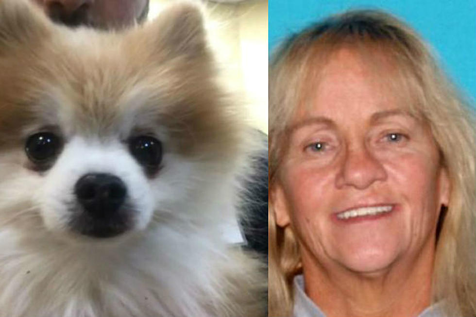 NJ woman cries poverty after stealing needy family’s Christmas dog, cops say