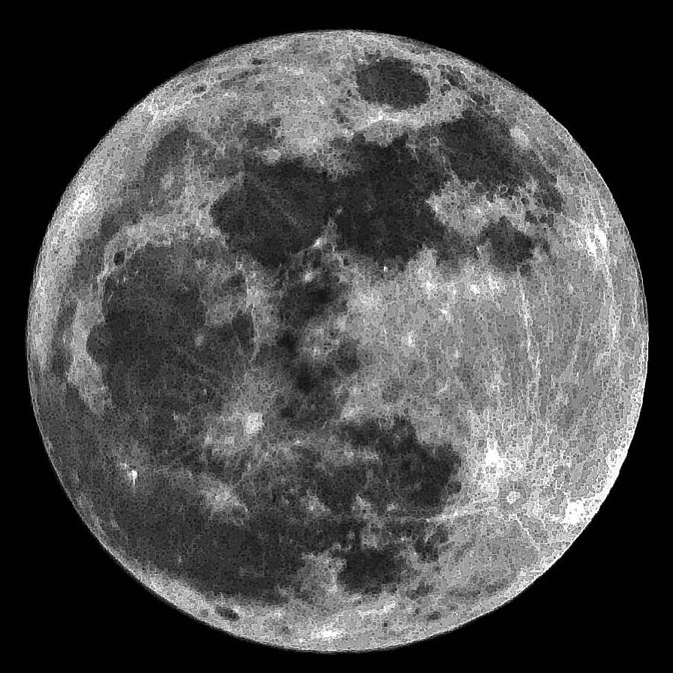 Did You Check Out The Super “Wolf” Moon?