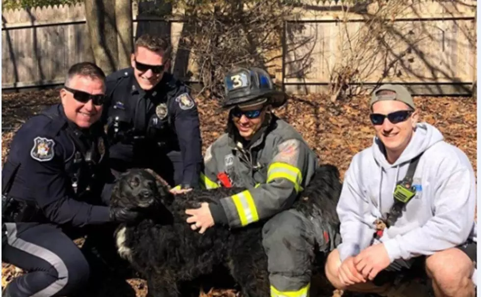 Wall Police and Fire crews rescue dog stuck under deck