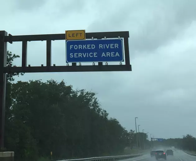 Garden State Parkway Drivers Better Stop at Forked River Rest Area