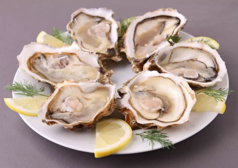 Oysterfest This Weekend in Asbury Park 