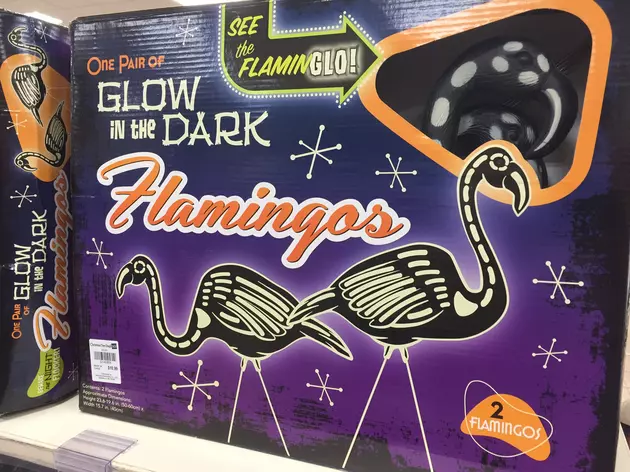 What is This! Are Halloween Flamingos Too Much? [OPINION]