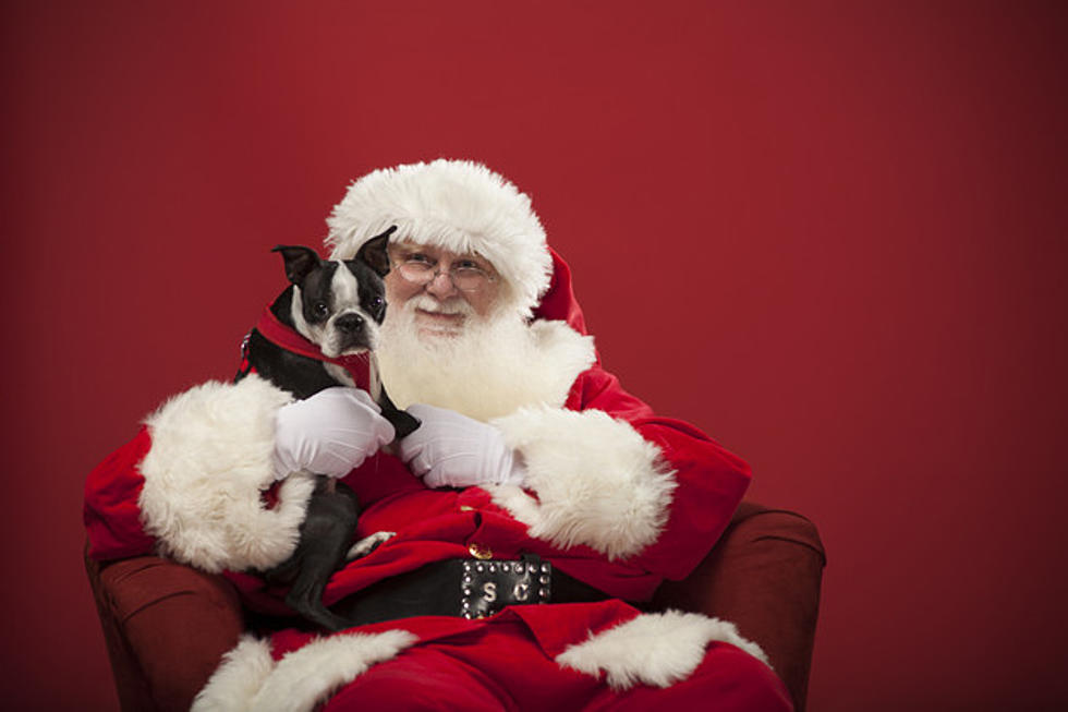 Pet Pictures with Santa to Benefit Berkeley/Lacey Relay for Life