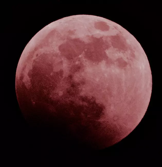 Check Out the Super Blood Wolf Moon Eclipse [VIDEO]