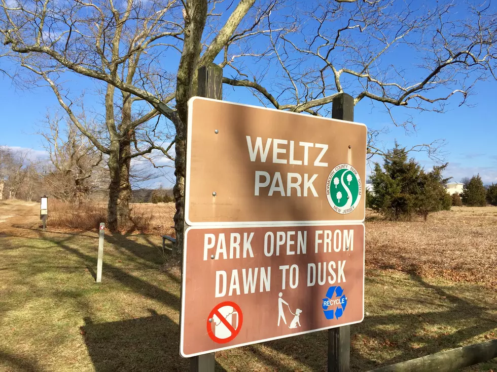 Hiking New Jersey: Weltz Park [VIDEO]