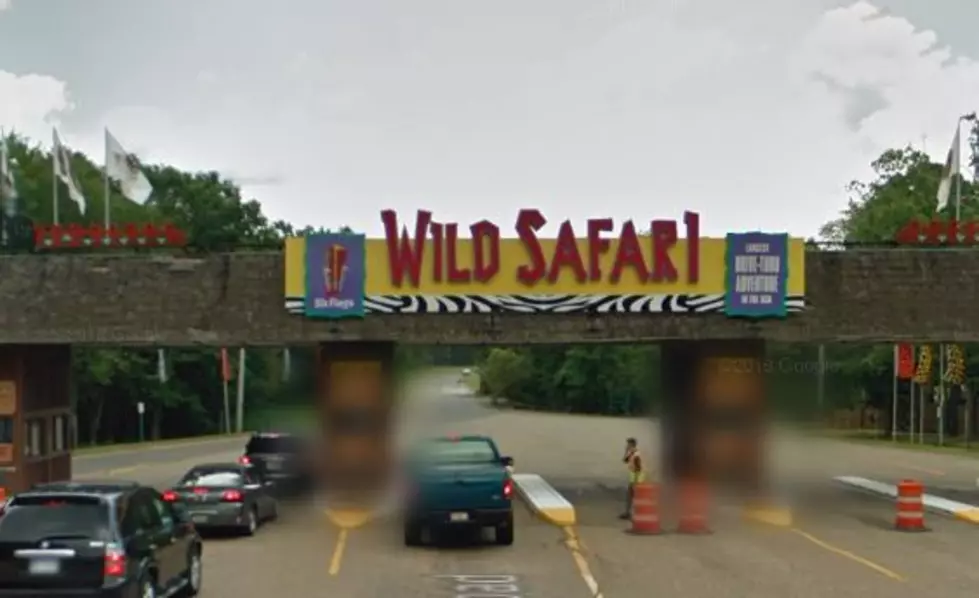 Ride Through Great Adventure’s Safari Right From Home