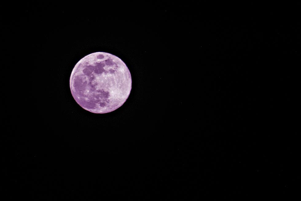 Did You See April's Full Pink Moon? [VIDEO]