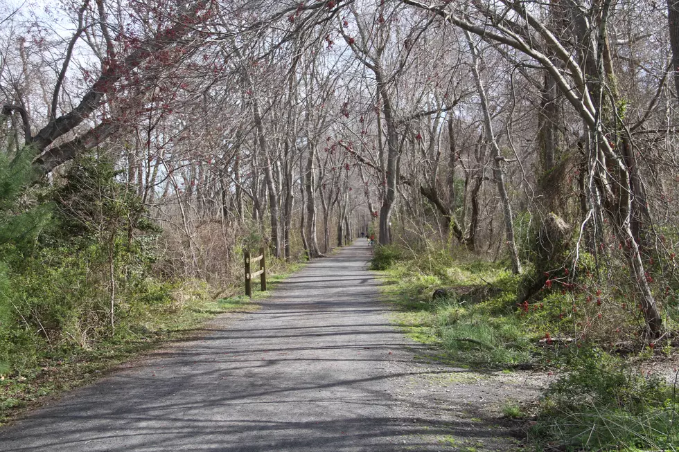 Come celebrate National Trails Day along the Barnegat Branch Trail