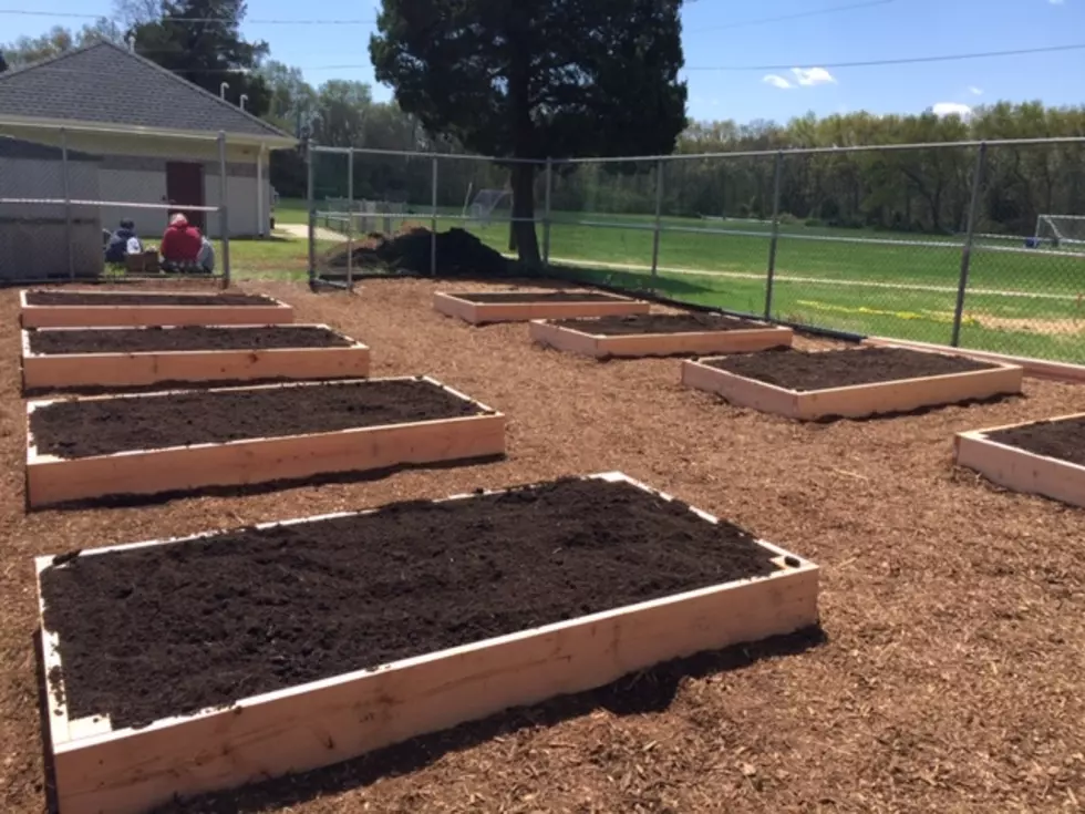 Attention Gardeners! Ten plots now available in Toms River
