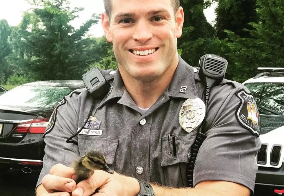 Wall Police Officers bring baby ducklings to safety