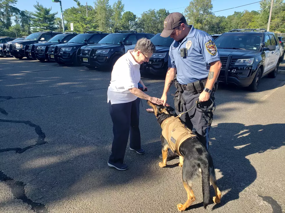Brick woman who donated K9 vest reunites with new furry friend