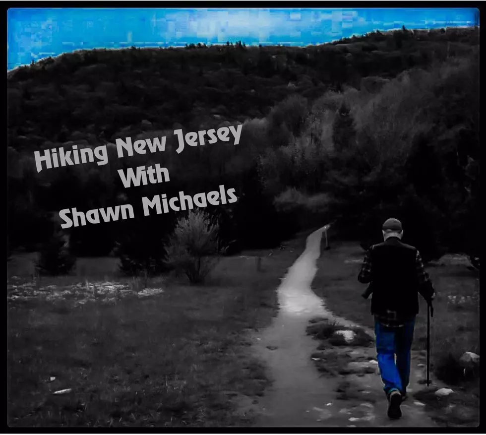 Best Hiking in Fall in New Jersey [LIST]