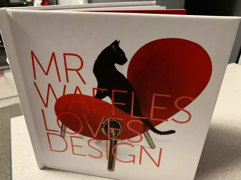 Cat Lovers Meet Mr Waffles [PHOTOS]
