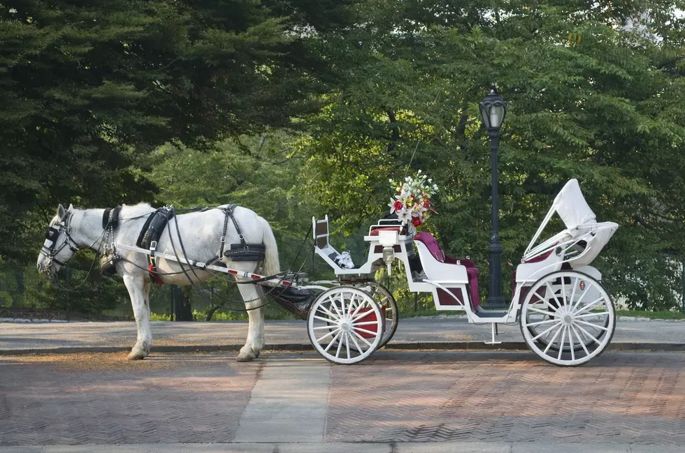 Downtown Point Pleasant Beach's Free Horse & Carriage Rides