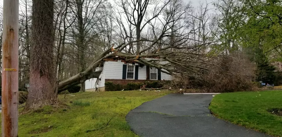 Thursday storm causes tree to fall on top of Middletown home