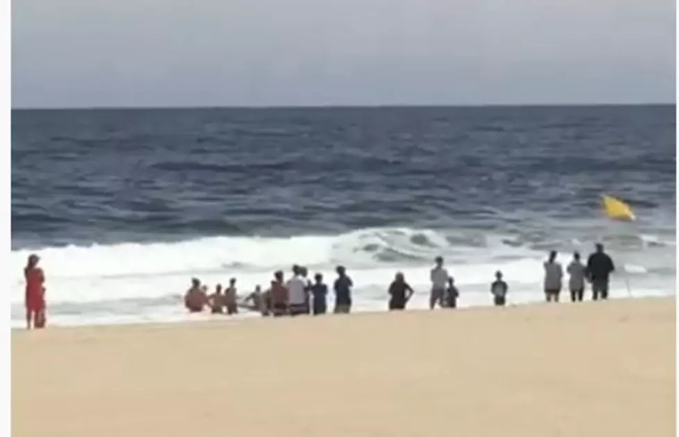Lifeguards Try To Save Jersey Shore Beached Whale [Video]