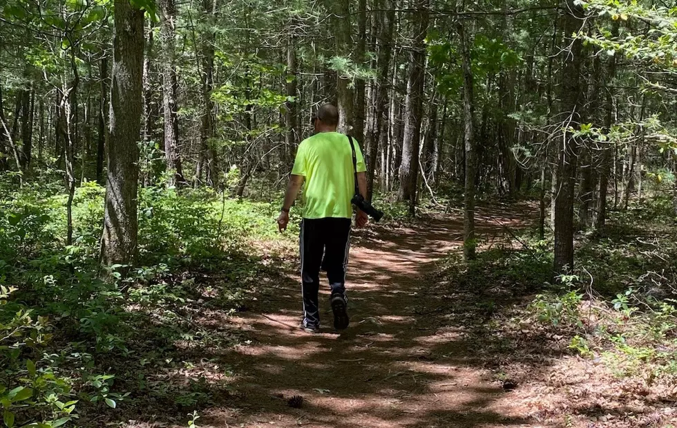 Hiking NJ: Belleplain State Forest [VIDEO]
