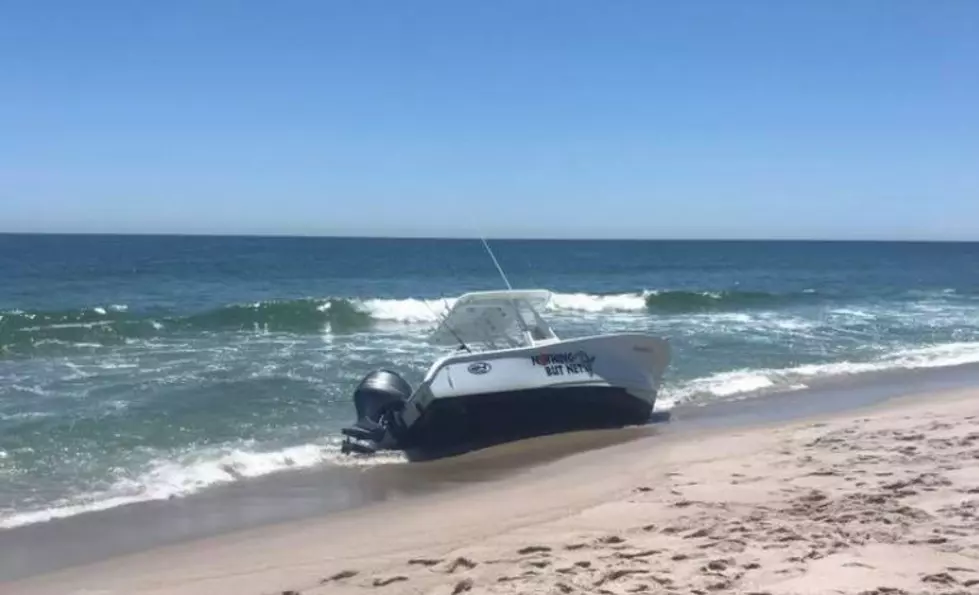 Video Released Of Whale Jumping Into Boat Off Of Seaside Park