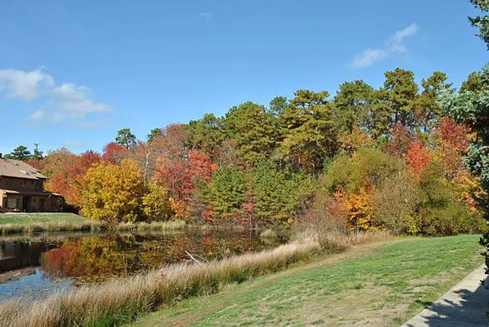 Interactive Map Predicts 2020's New Jersey Fall Foliage Dates