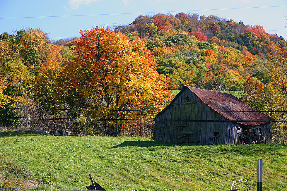 A Look at the Beautiful Colors of Autumn [PHOTO GALLERY]