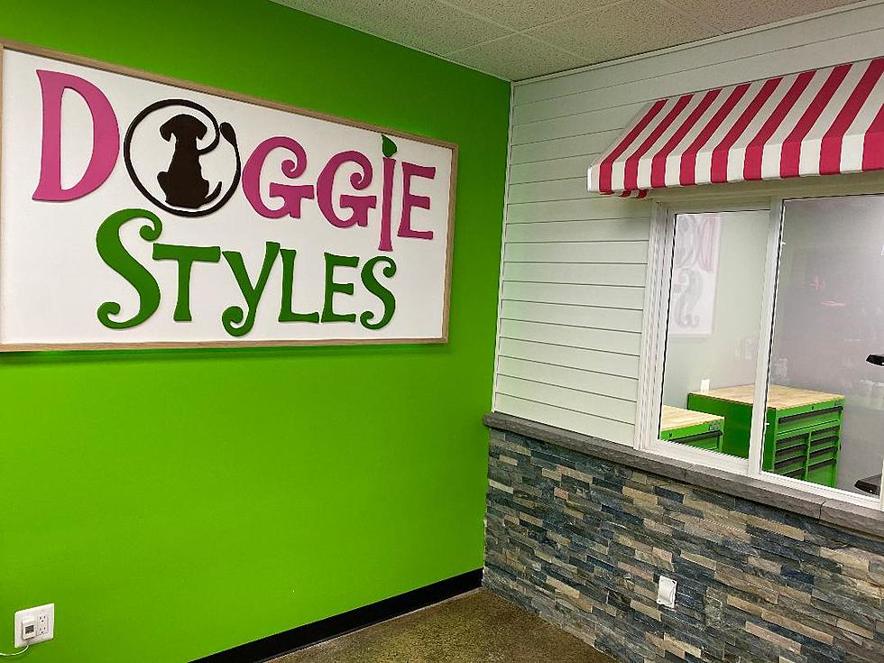 Get Your Tails Wagging! Grand Opening Soon for New Dog Salon in Brick, NJ