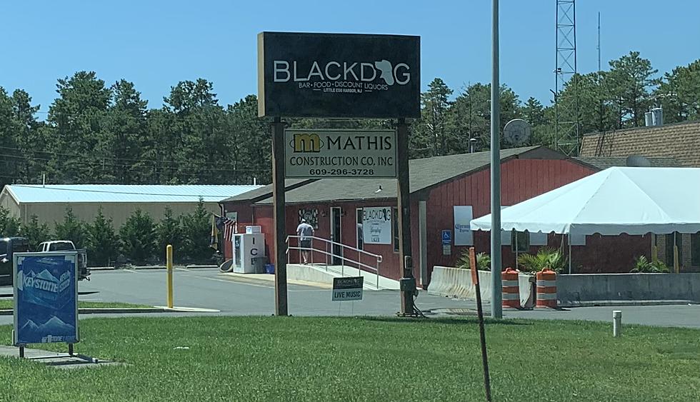 New Blackdog Bar 