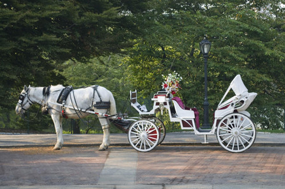 Take a Beautiful Christmas Horse and Carriage Ride in this Jersey Shore Town