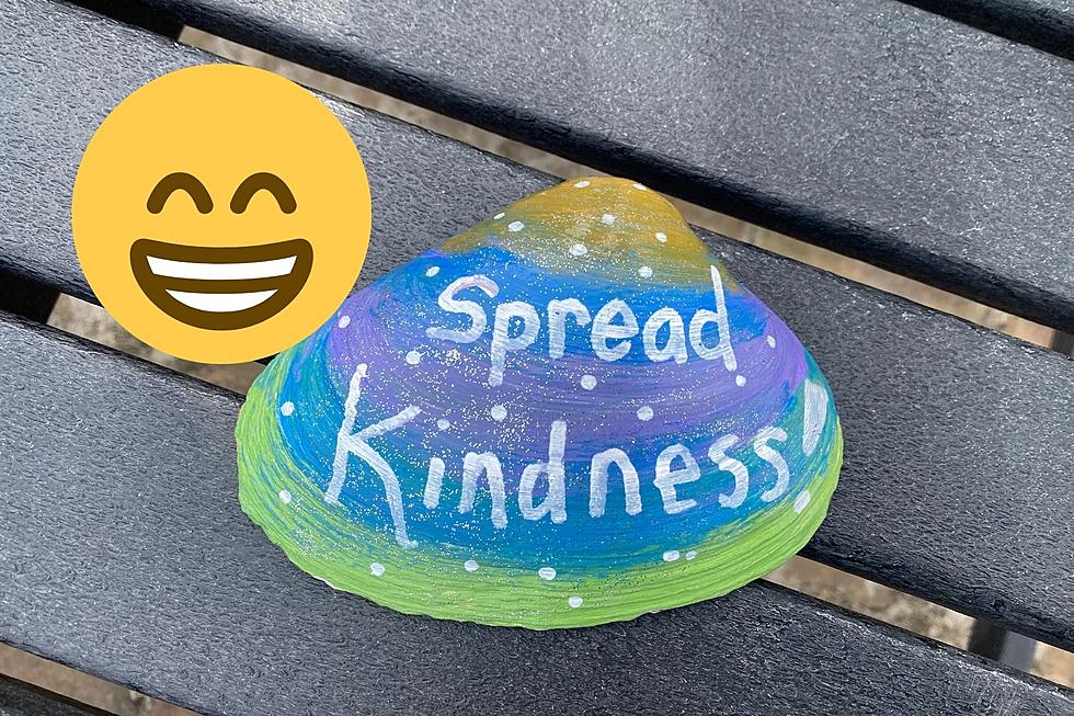 Decorated Shells Inspire Kindness All Around LBI