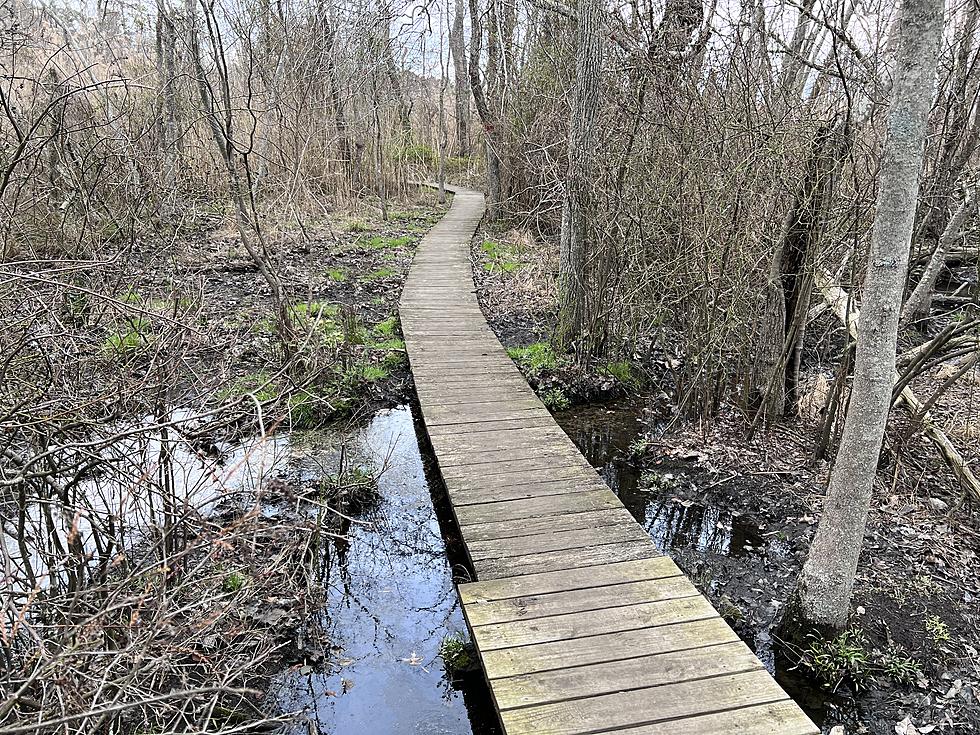 Hiking NJ: Cattus Island County Park in Toms River, New Jersey