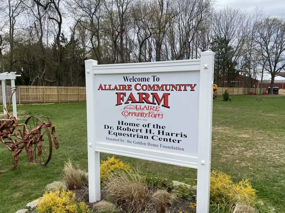 Allaire Community Farm In Wall, NJ Set A Record Perfect For The Holiday Season