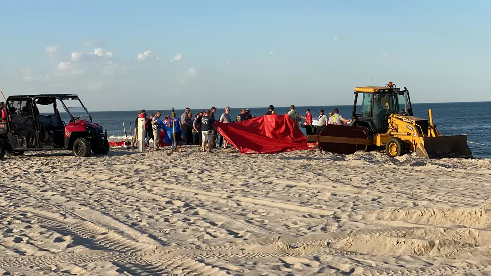 Two Teens from Maine become trapped, one dies after sand collapse on beach in Toms River, NJ Tuesday