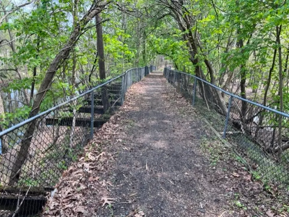 Hiking New Jersey: The Mount Holly Rail Trail in Burlington County