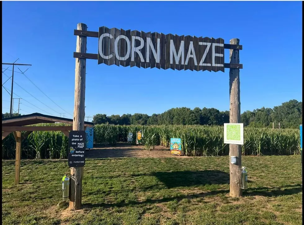 Find Your Way Through New Jersey’s Best Corn Mazes this Holiday Season