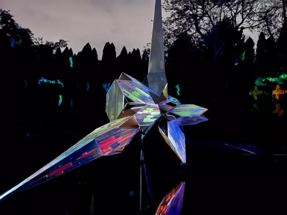 The Fantastic “Night Forms” Art Show at Grounds For Sculpture in Hamilton, New Jersey