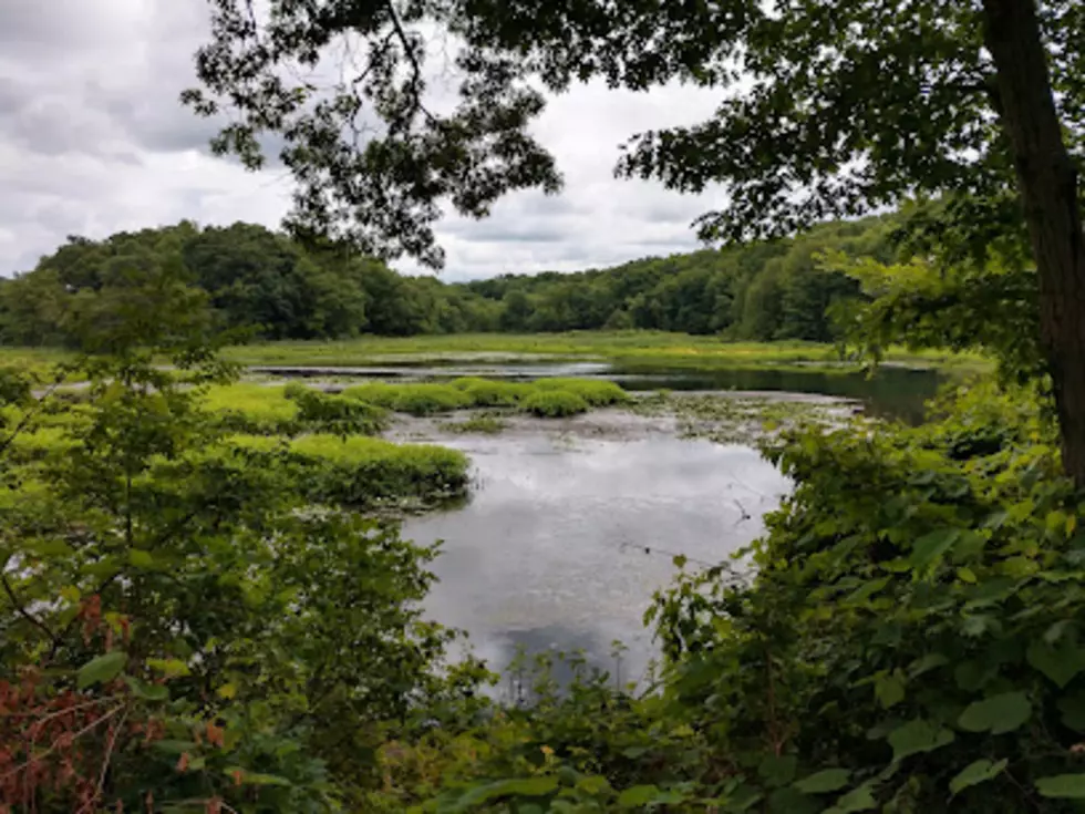 A Great New Jersey Park with Tons of Hiking Trails