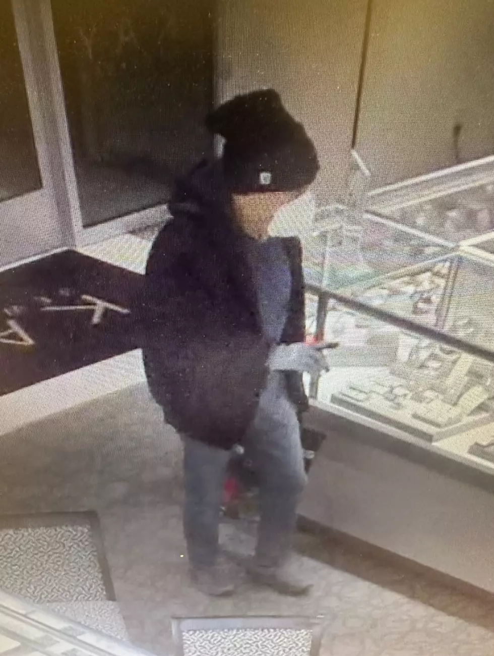 Holmdel Police searching for armed jewelry thief who took gold