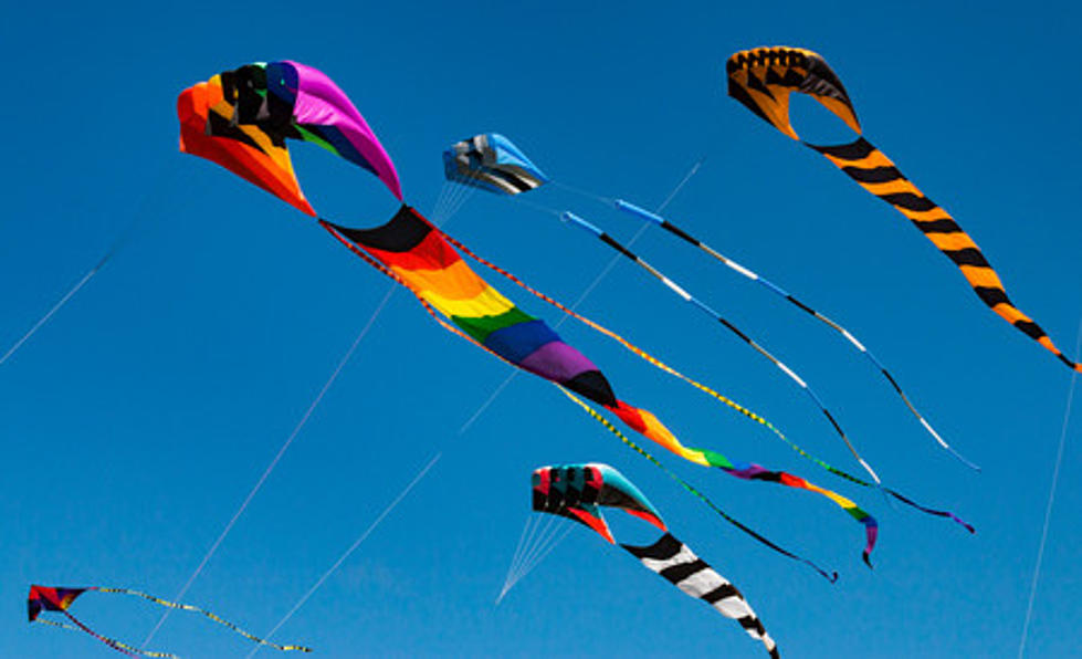 One of the Biggest Kite Festivals in the U.S. is Right Here in New Jersey