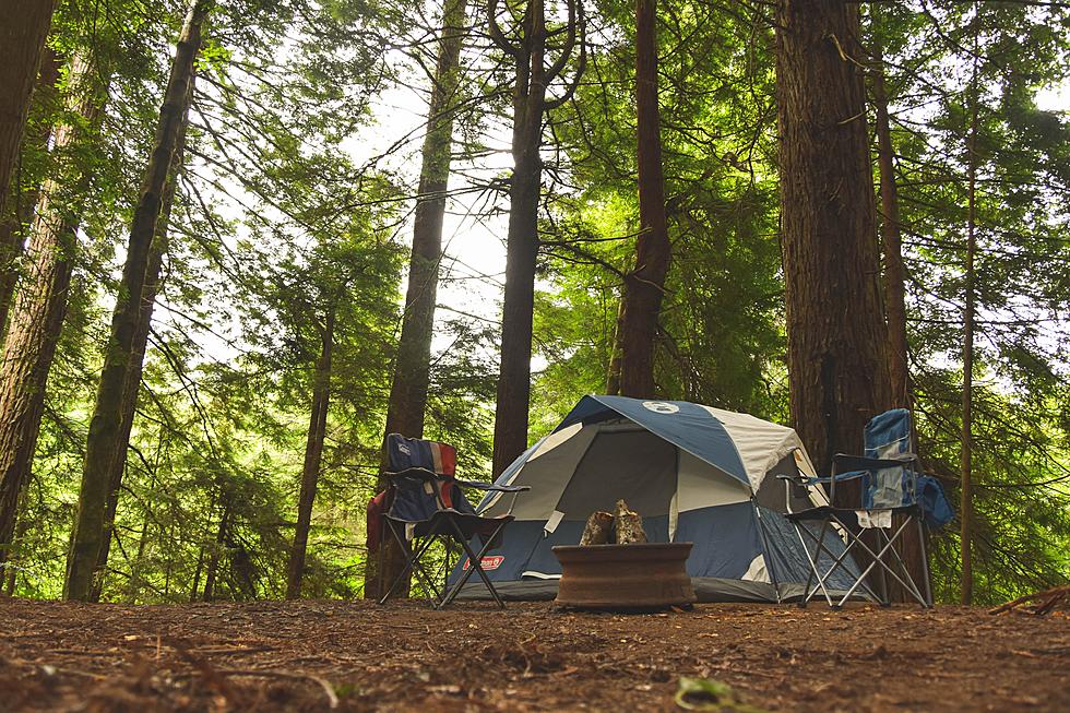 Let's Go! It's New Jersey's Top Campsite One Of The Best In U.S.