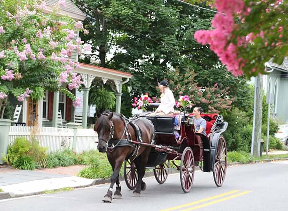 Take a Ride on a Horse & Carriage in Beautiful Cape May, NJ This Christmas