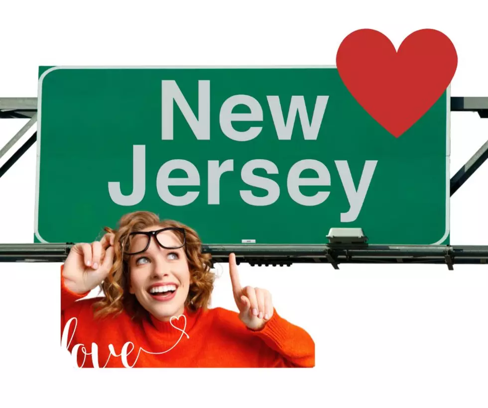 6 Reasons New Jersey is the Best State to Live In, In My Opinion
